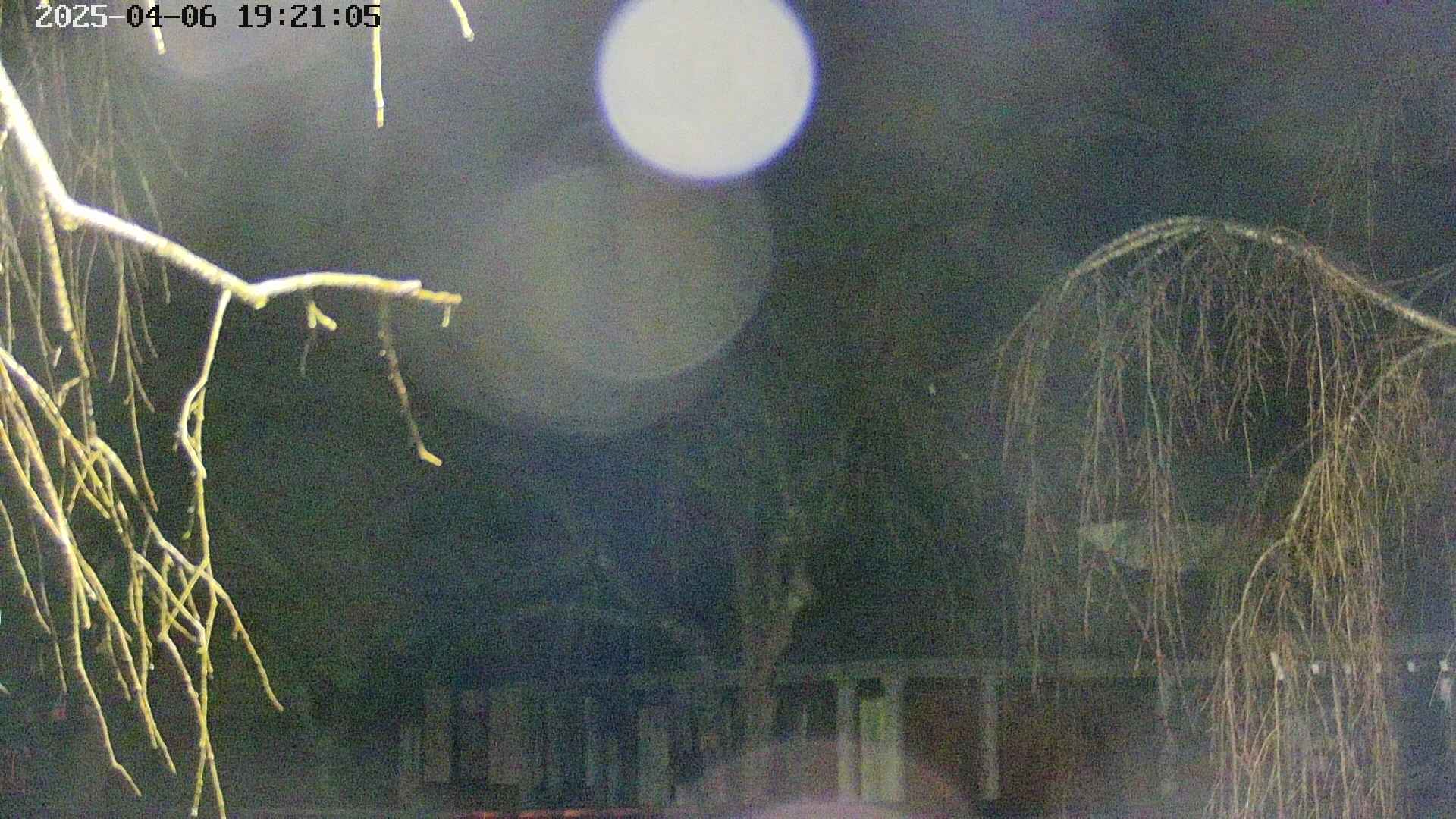 area2-20250406192107.jpg