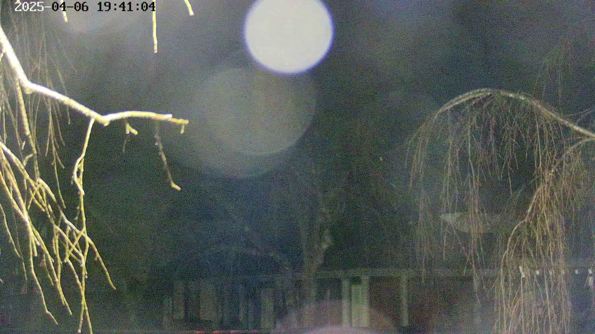 area2-20250406194106.jpg