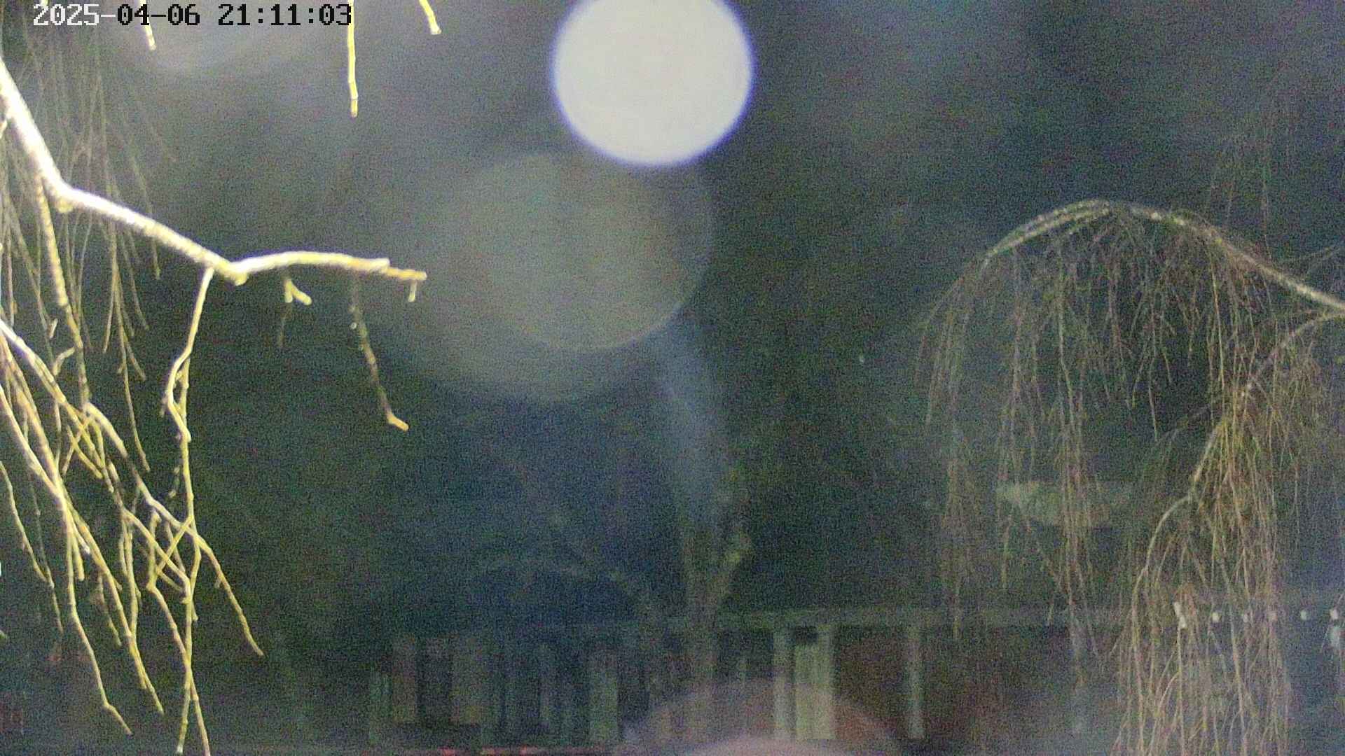 area2-20250406211106.jpg