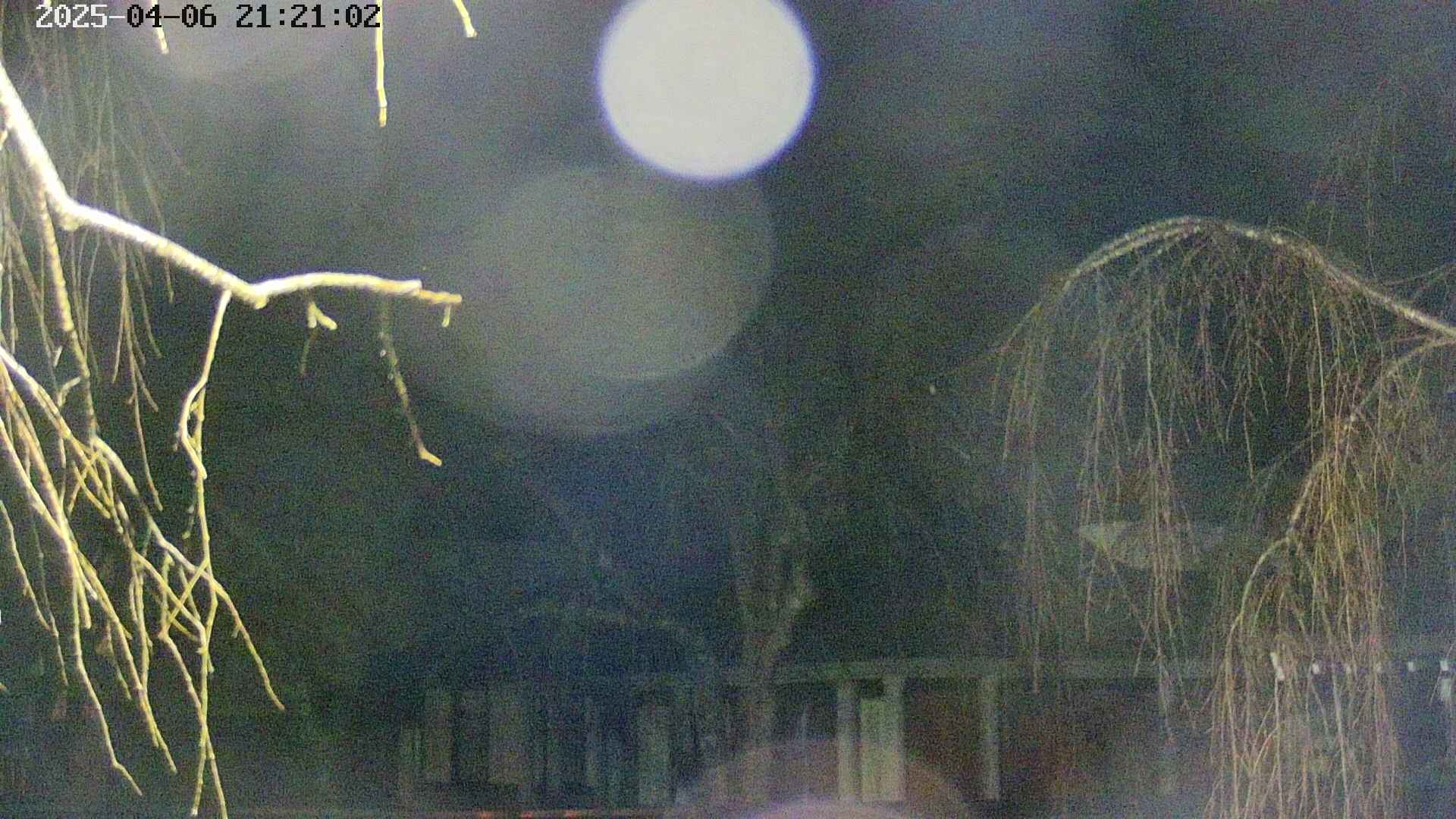 area2-20250406212104.jpg