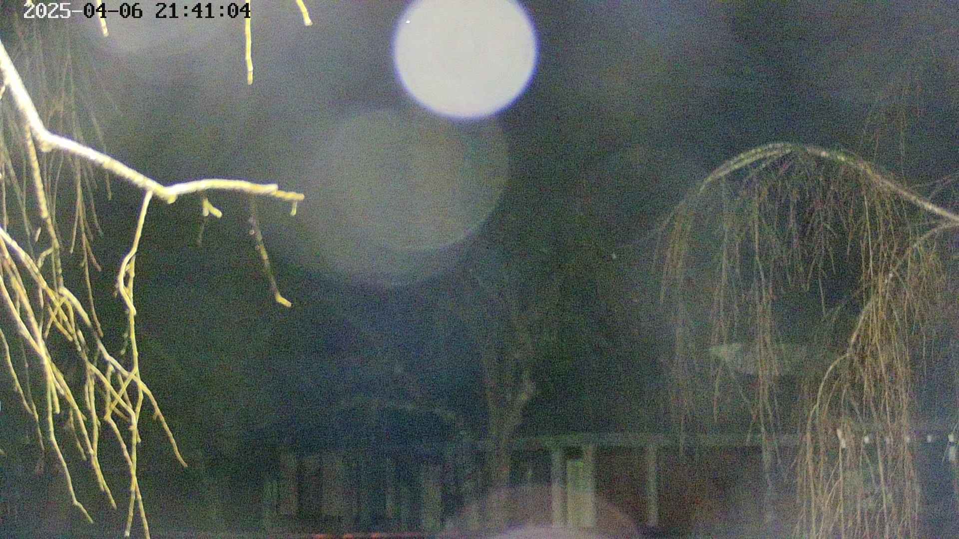 area2-20250406214106.jpg