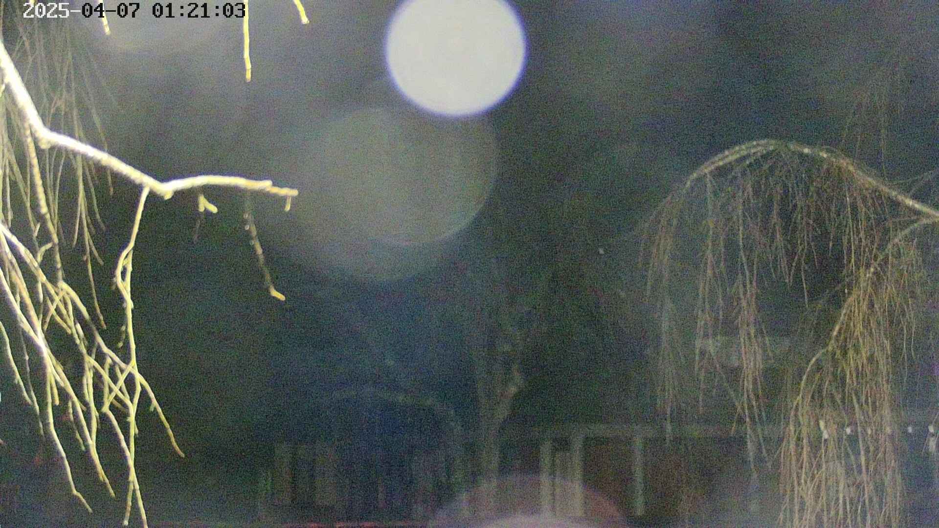 area2-20250407012106.jpg