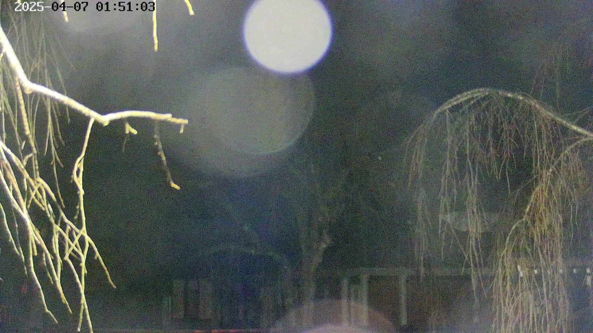 area2-20250407015106.jpg