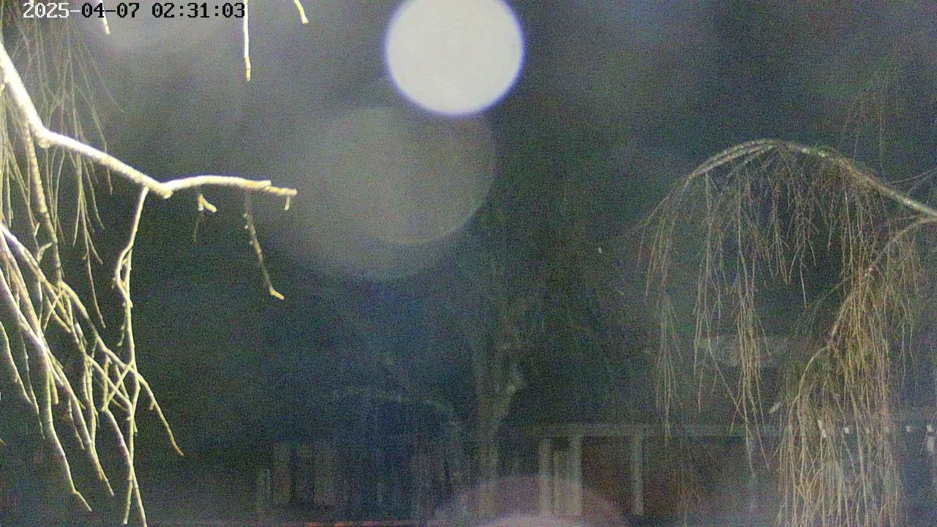 area2-20250407023106.jpg