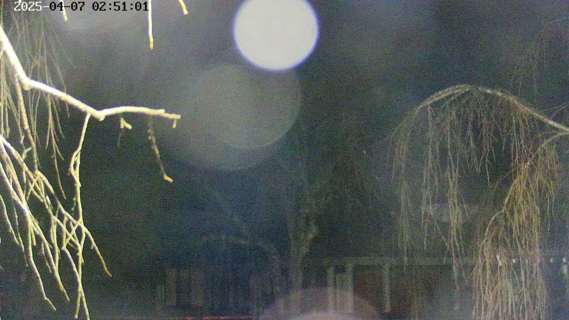 area2-20250407025104.jpg