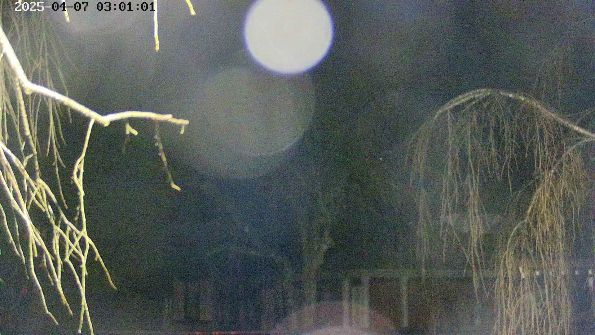 area2-20250407030104.jpg