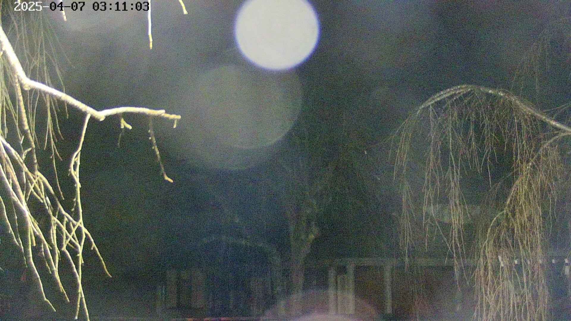 area2-20250407031106.jpg