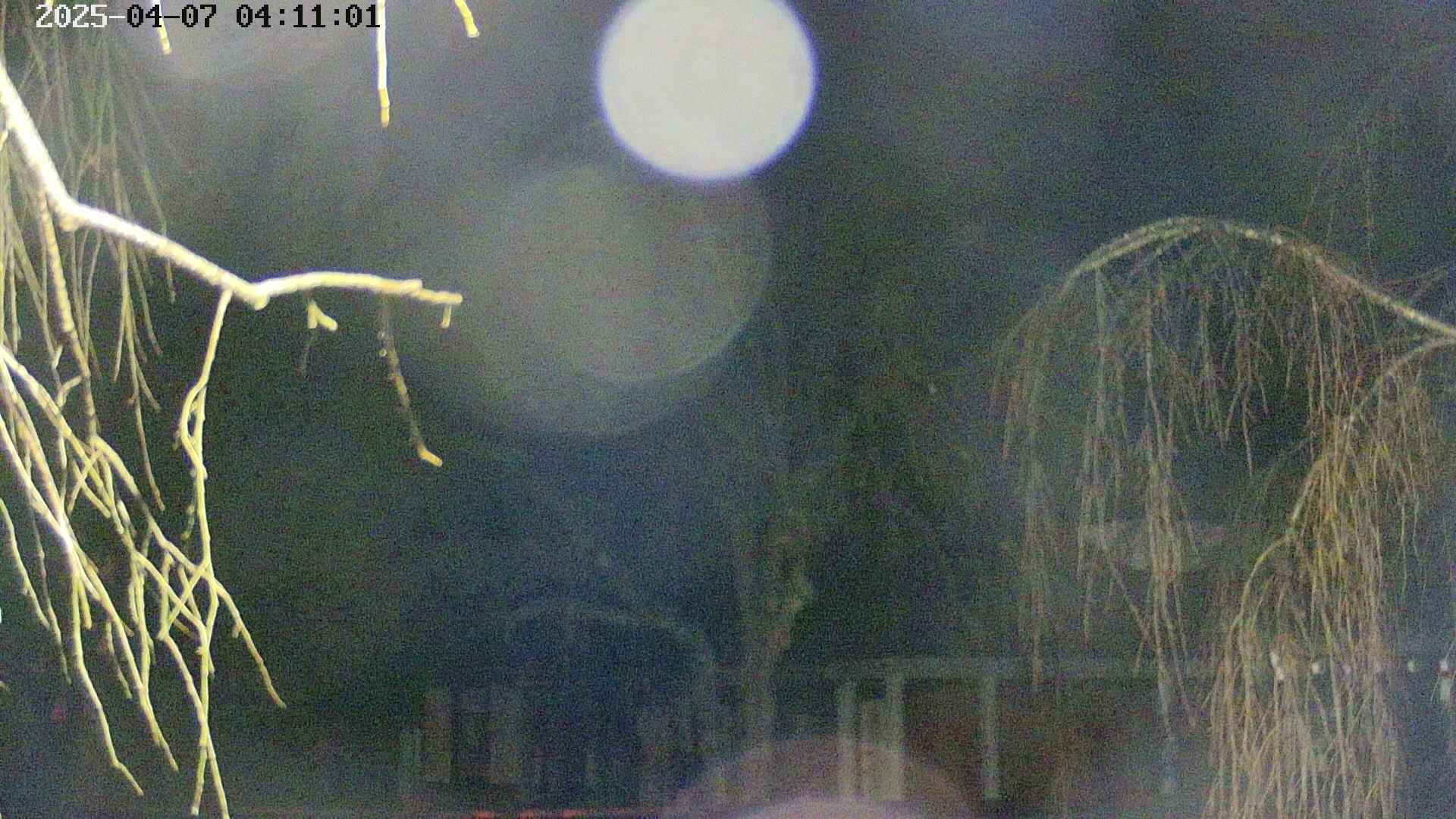 area2-20250407041105.jpg