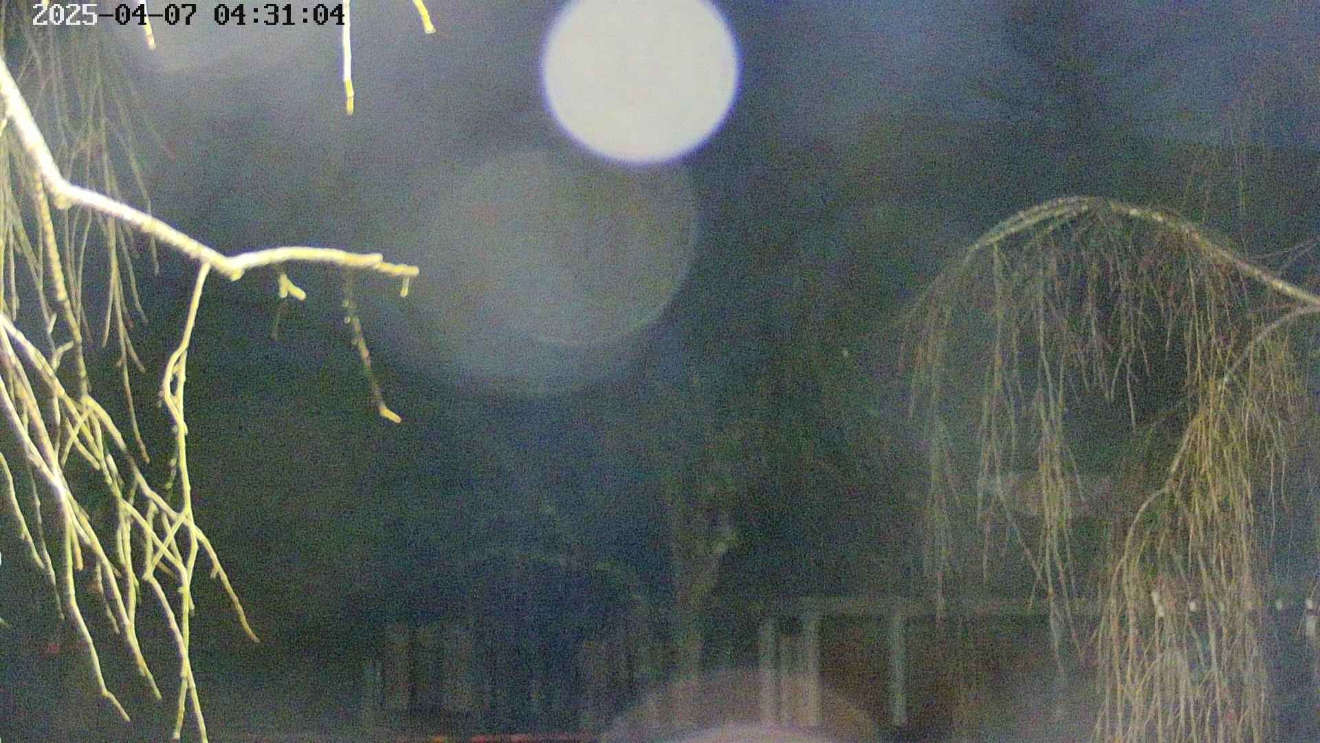 area2-20250407043107.jpg