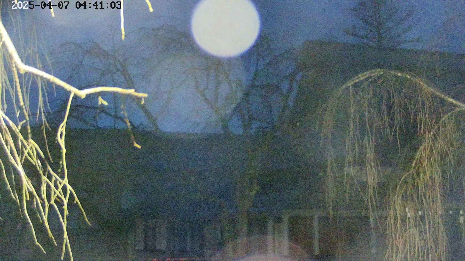 area2-20250407044106.jpg
