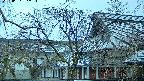 area2-20250407052105.jpg