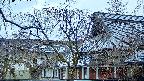 area2-20250407061105.jpg