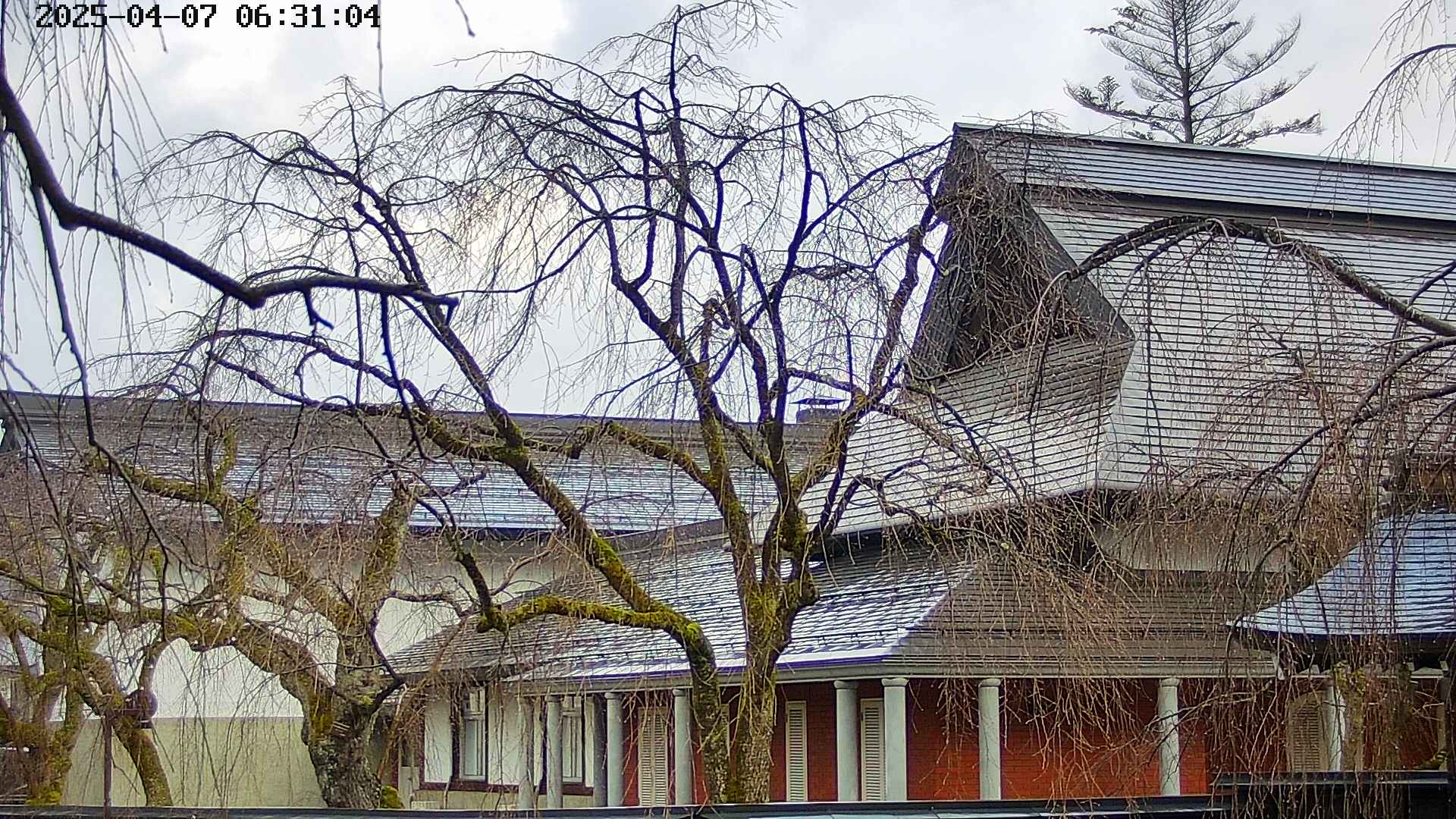 area2-20250407063107.jpg
