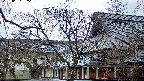 area2-20250407065107.jpg