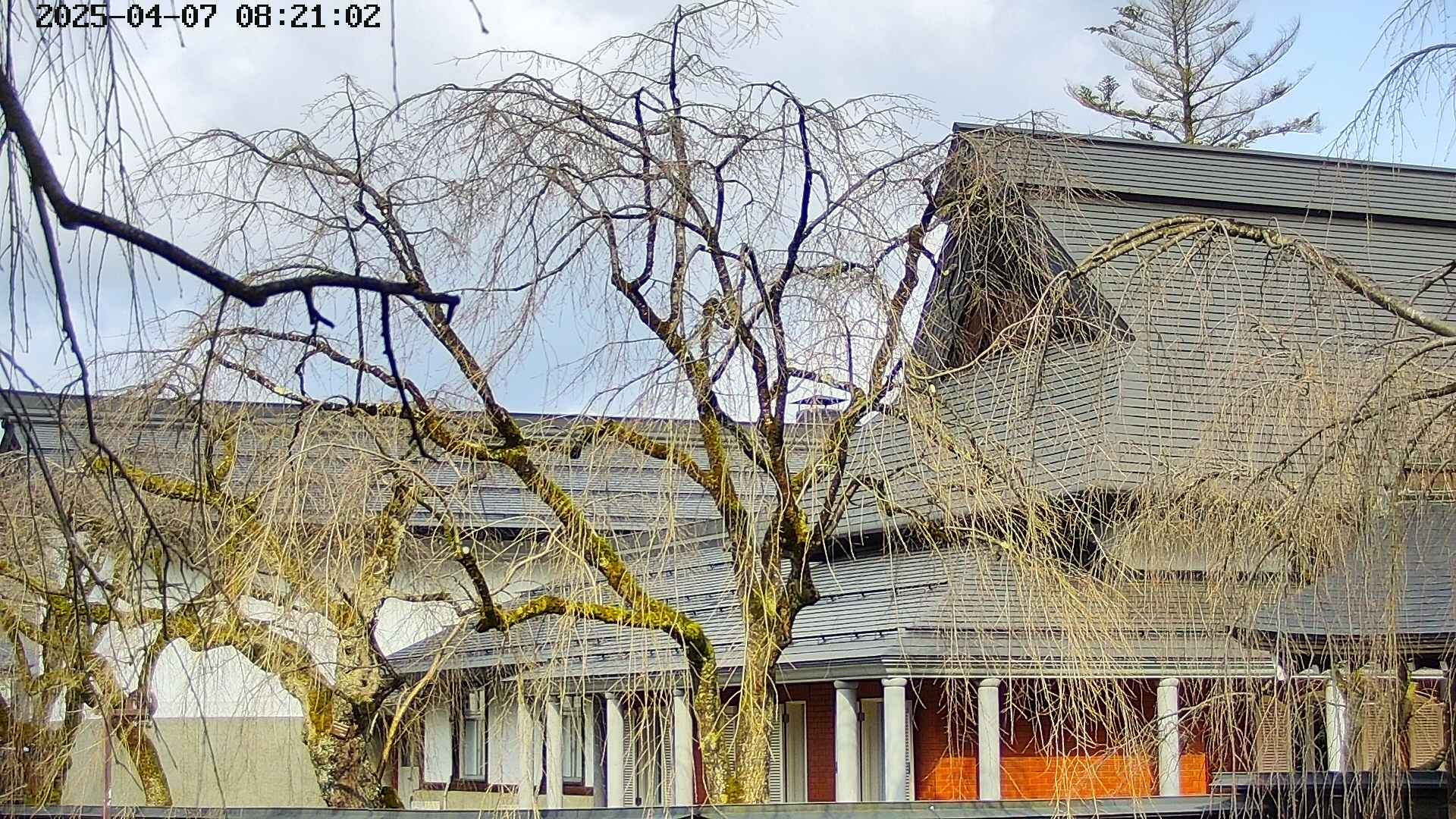 area2-20250407082106.jpg