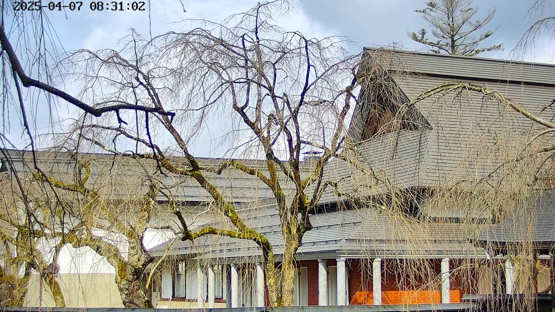 area2-20250407083106.jpg