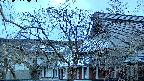 area2-20250407180106.jpg
