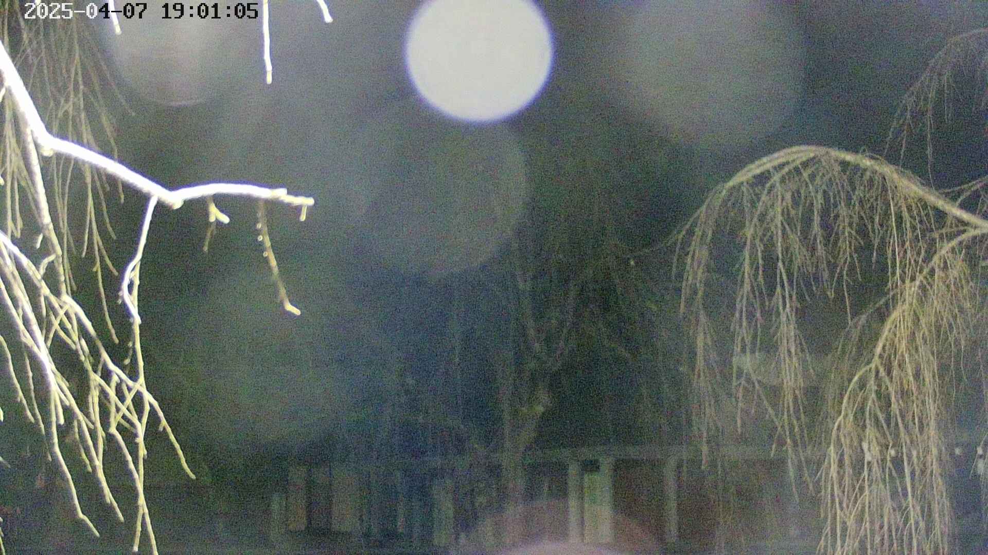 area2-20250407190107.jpg