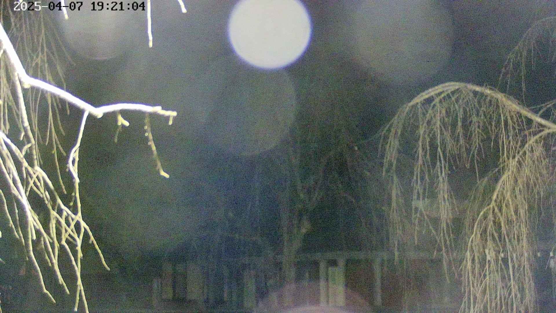 area2-20250407192106.jpg