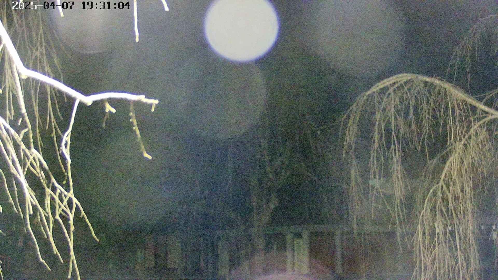 area2-20250407193106.jpg