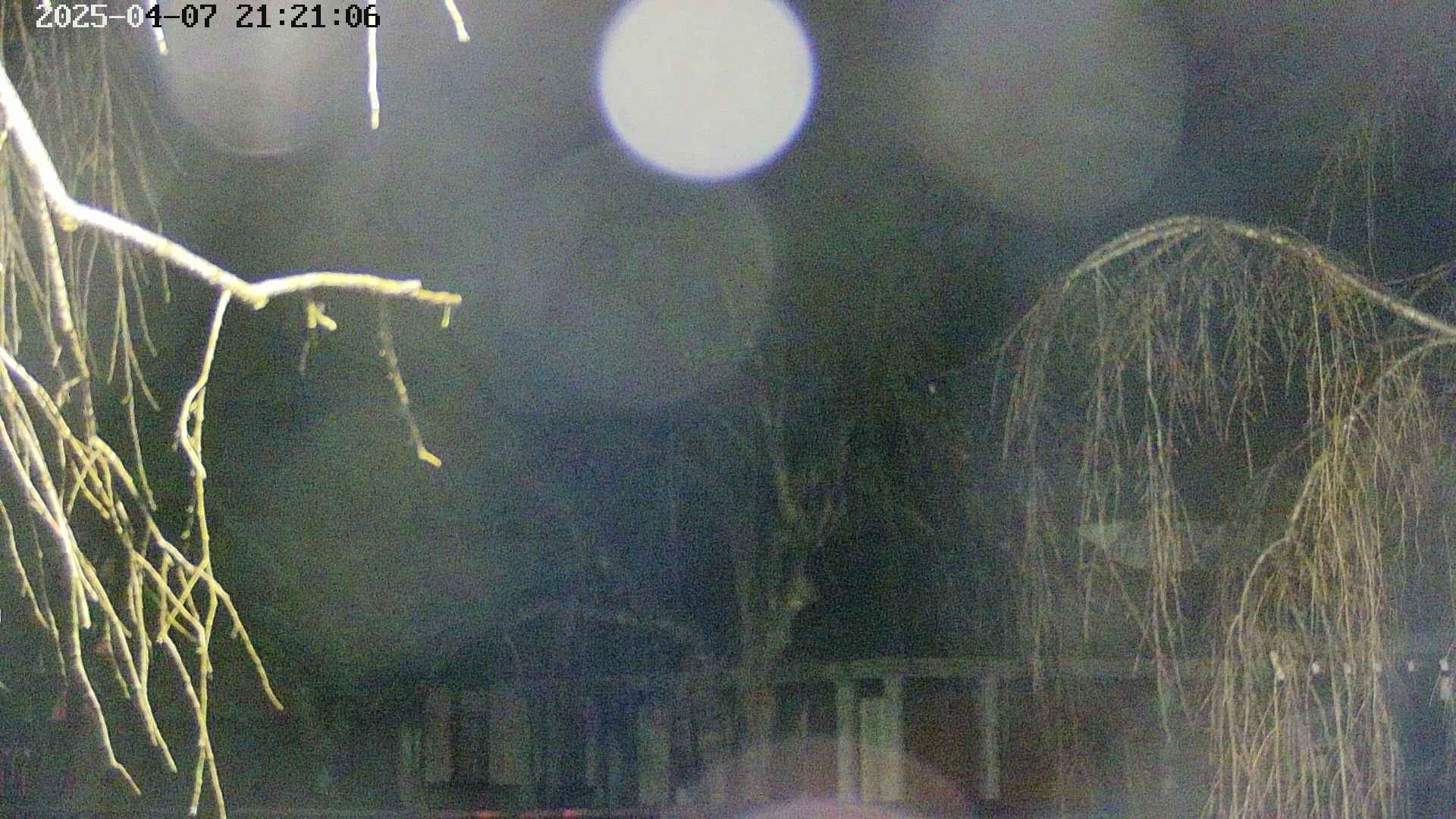 area2-20250407212108.jpg
