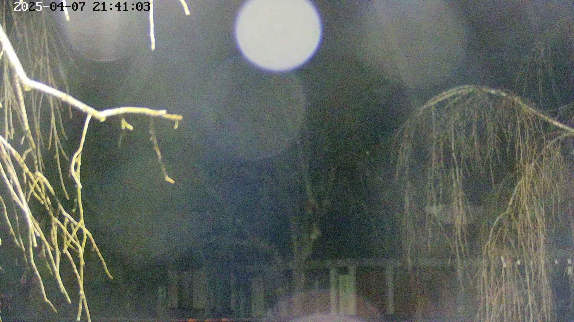 area2-20250407214106.jpg