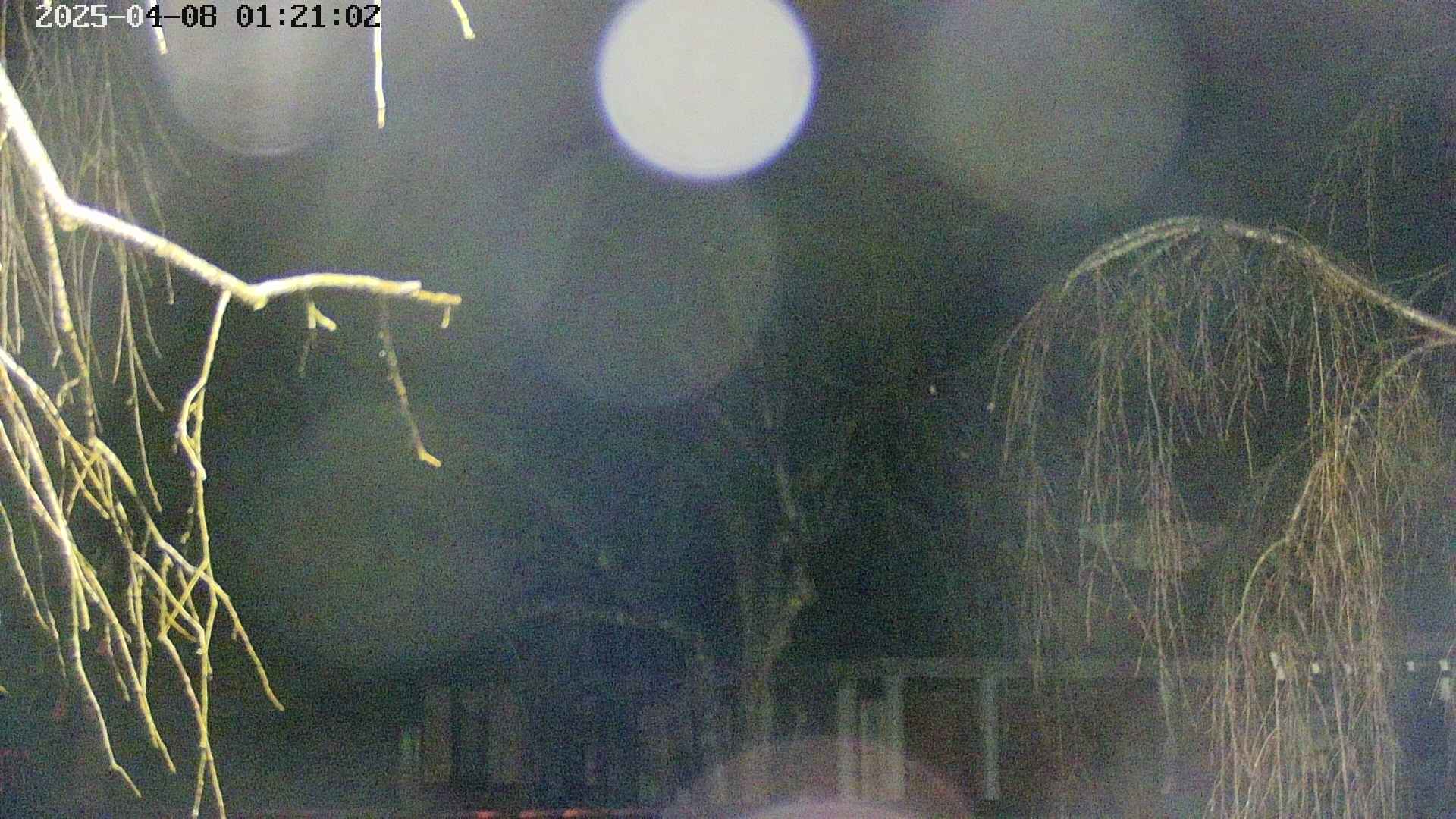 area2-20250408012105.jpg