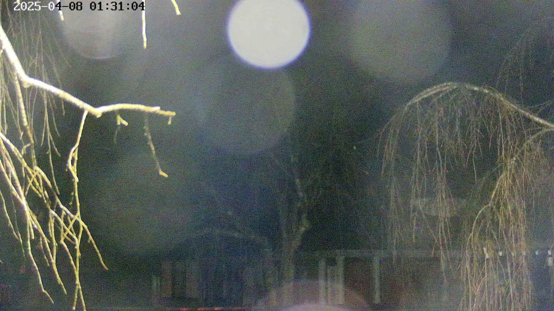 area2-20250408013107.jpg
