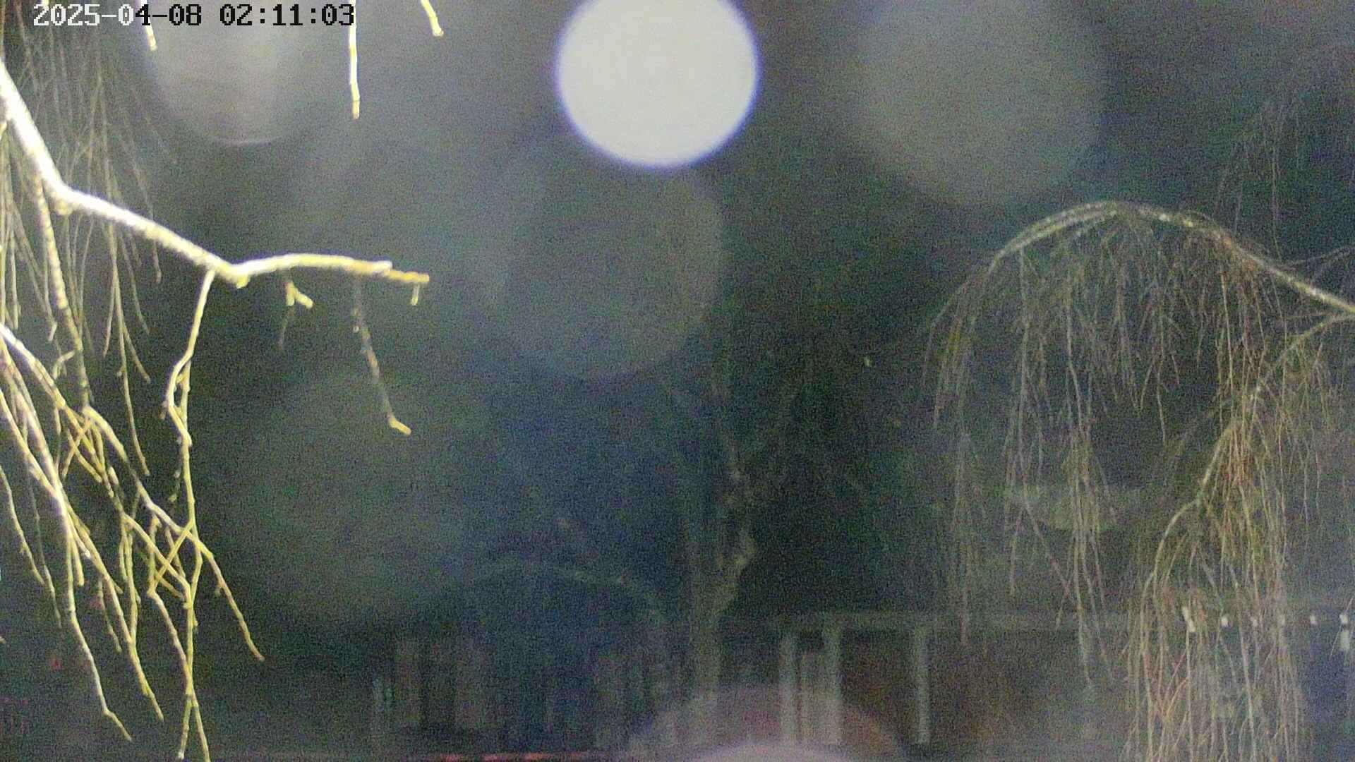 area2-20250408021106.jpg