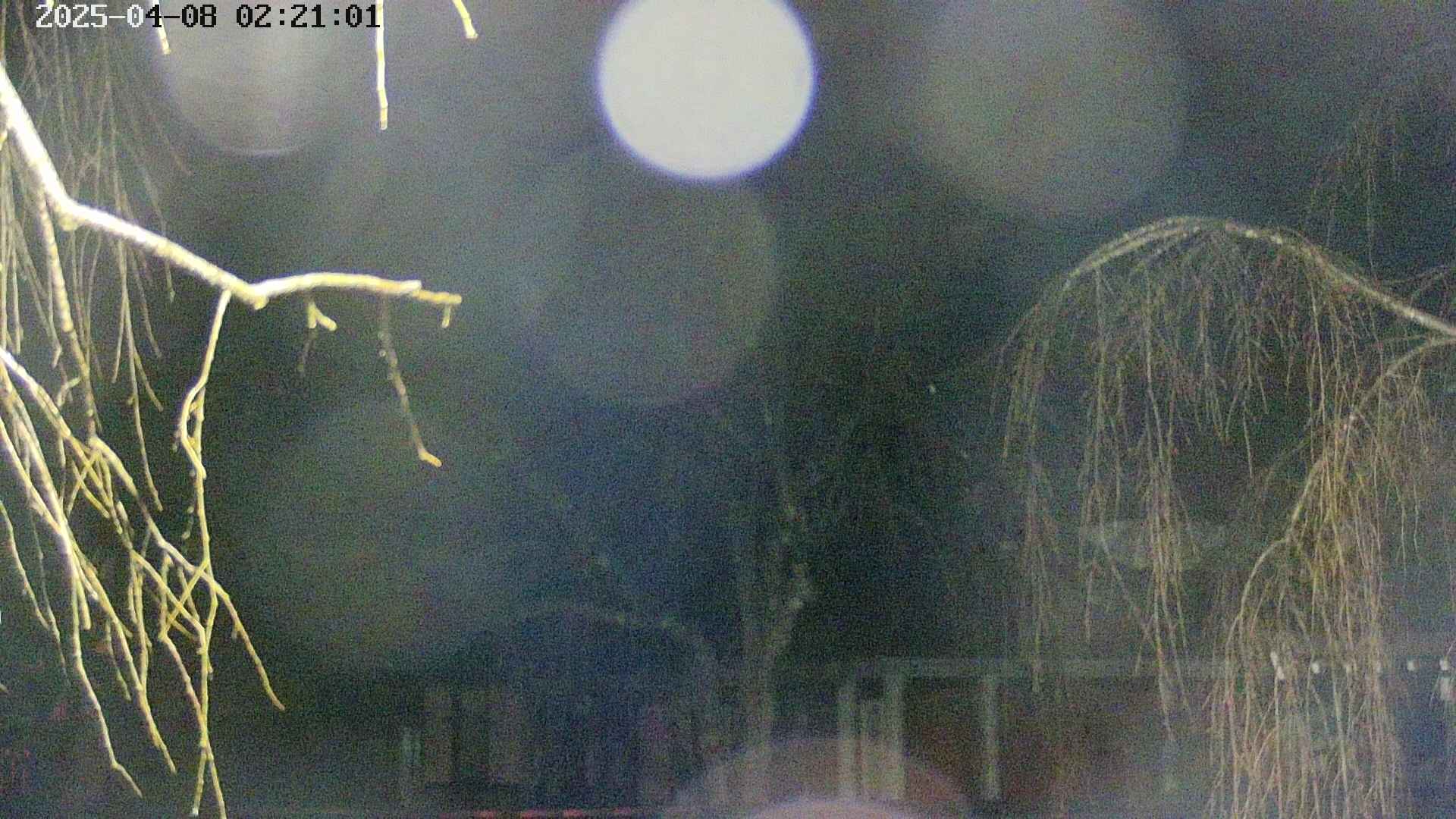 area2-20250408022104.jpg