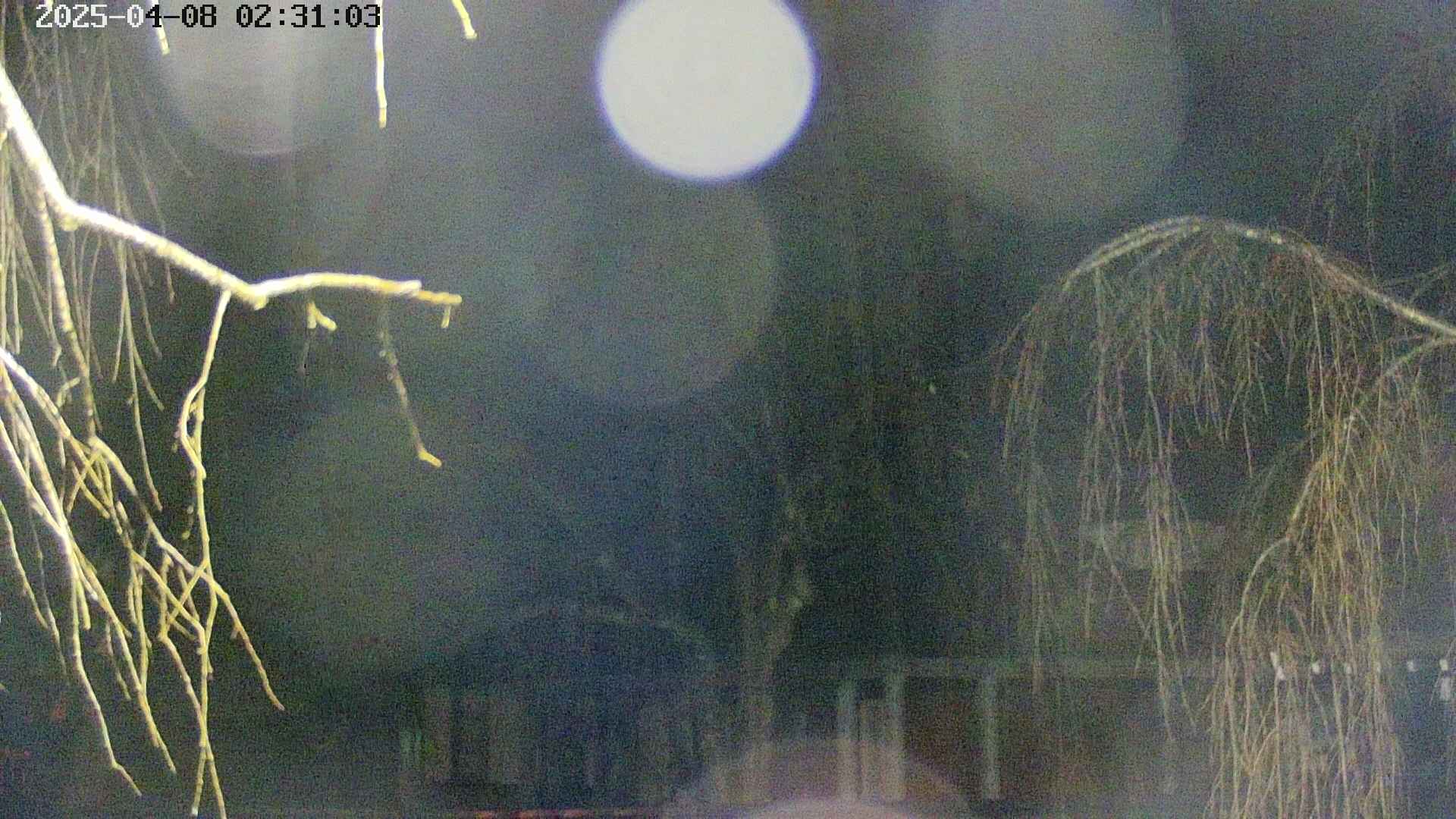 area2-20250408023106.jpg