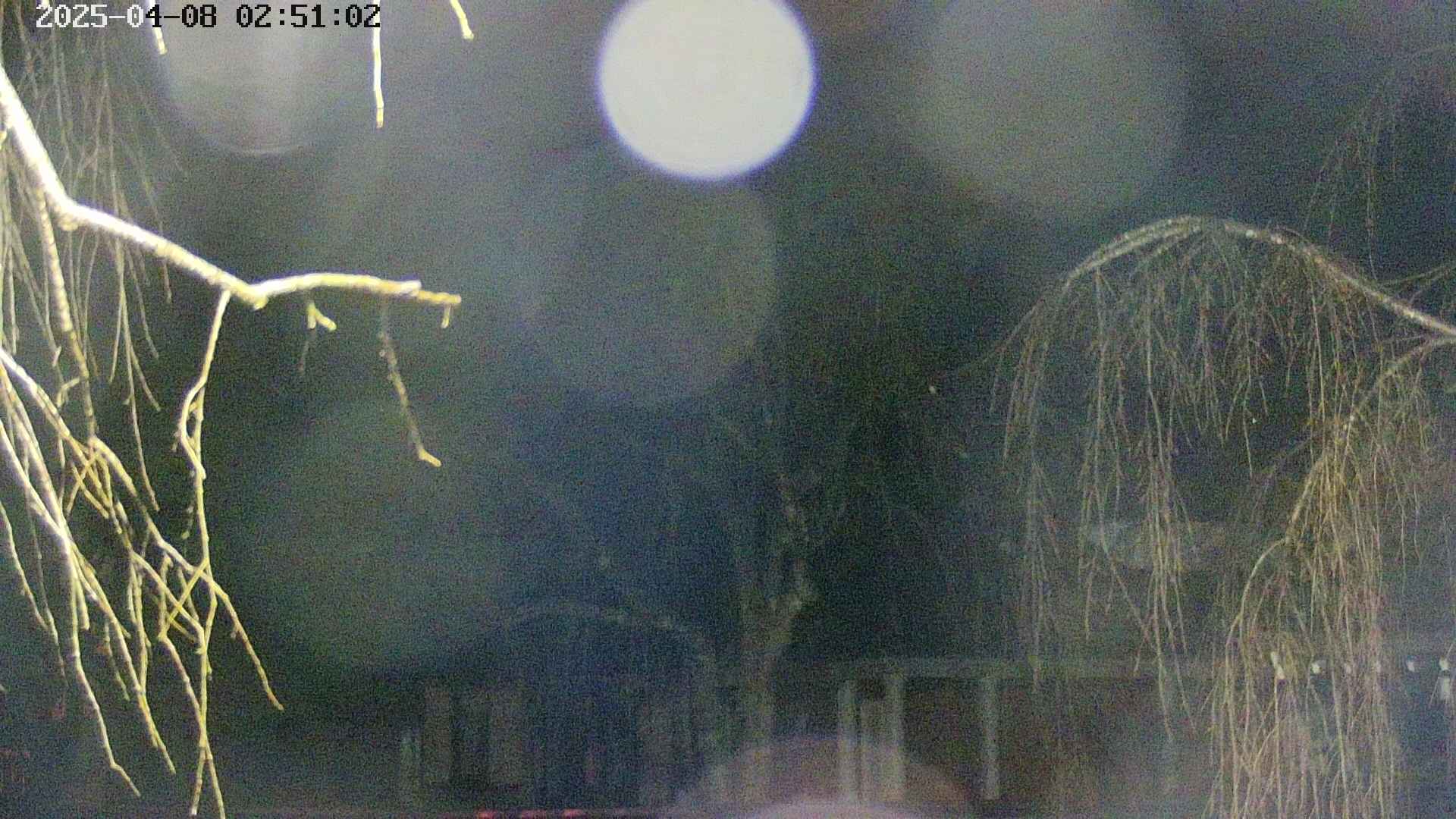 area2-20250408025106.jpg