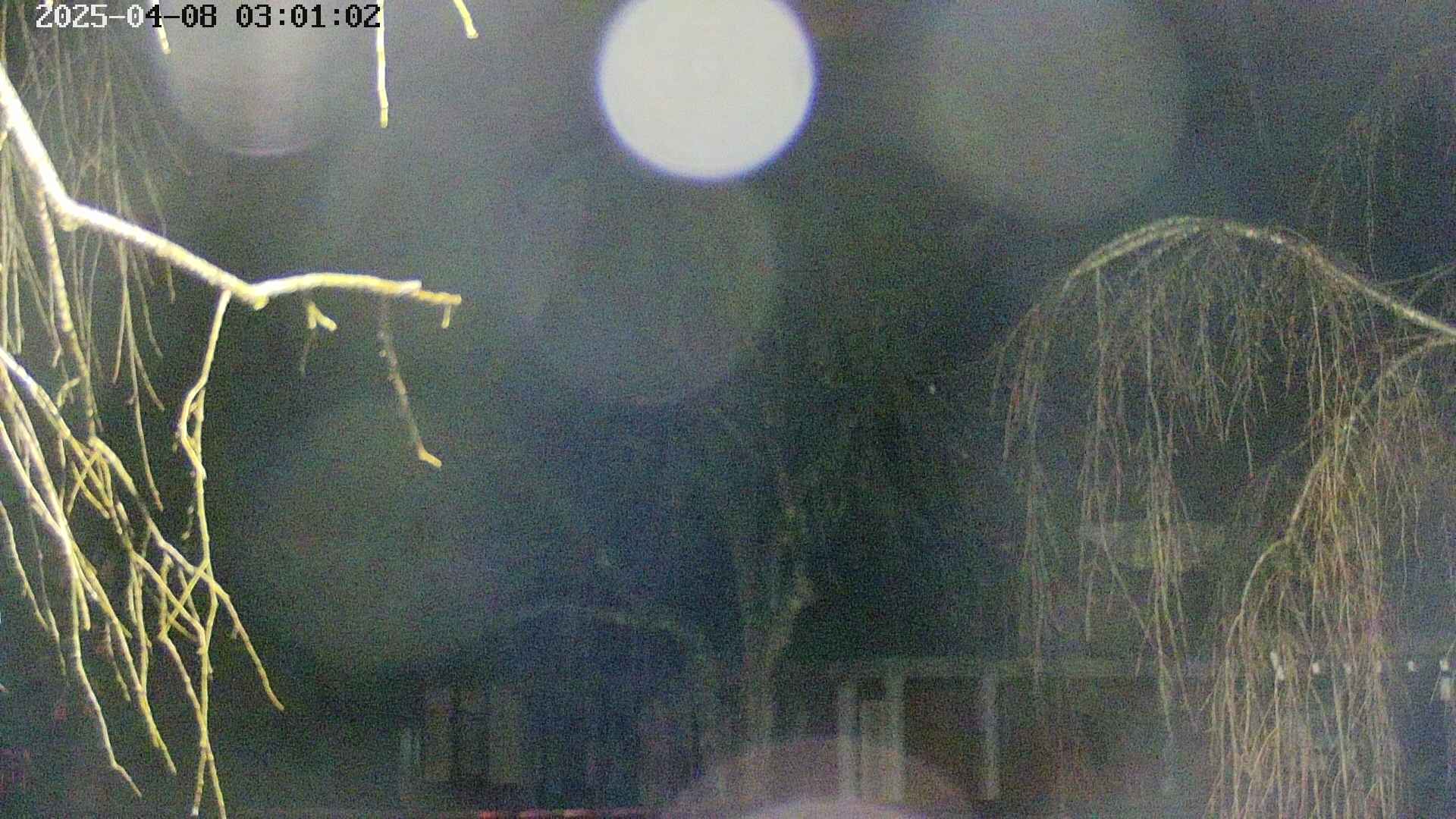 area2-20250408030106.jpg