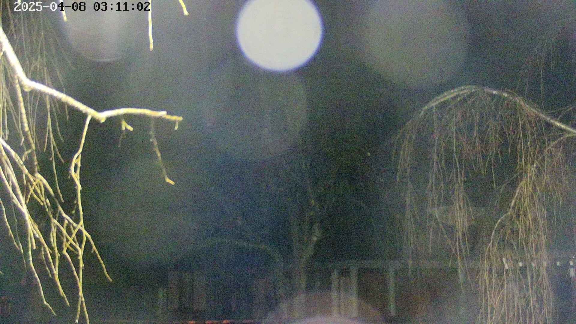 area2-20250408031105.jpg
