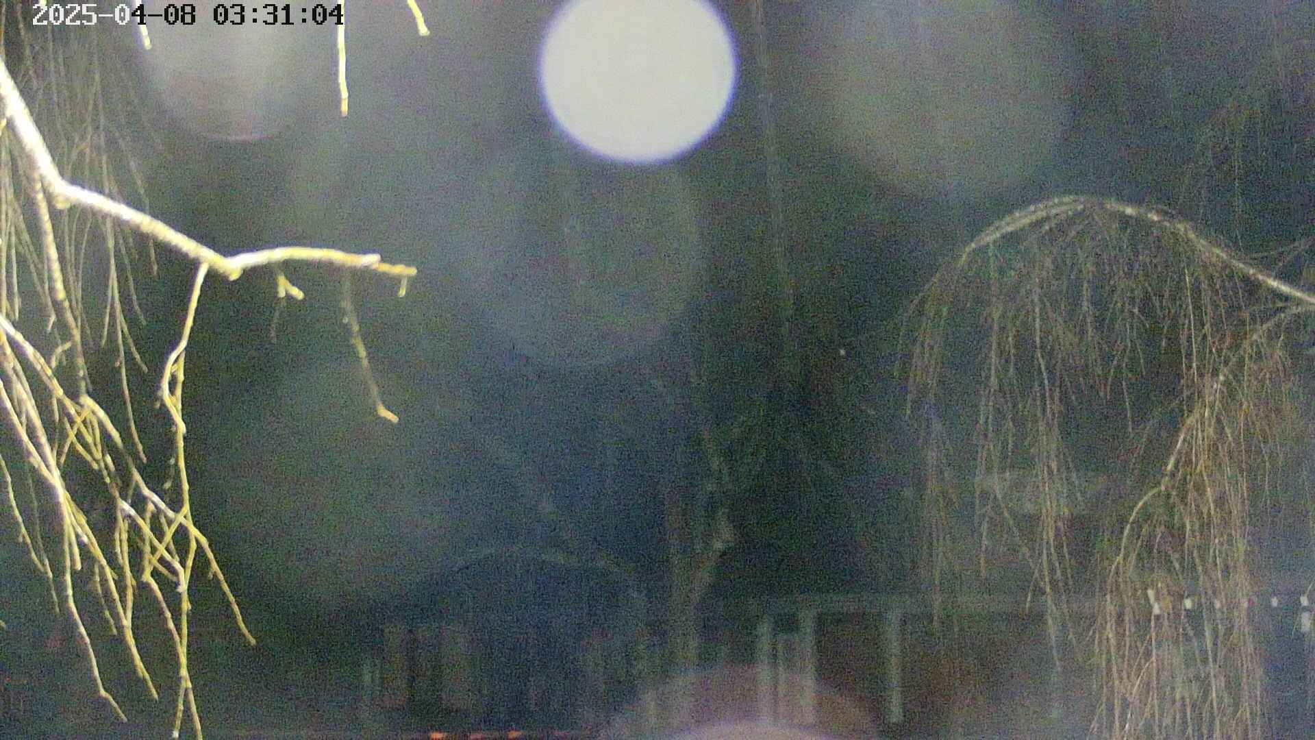 area2-20250408033107.jpg