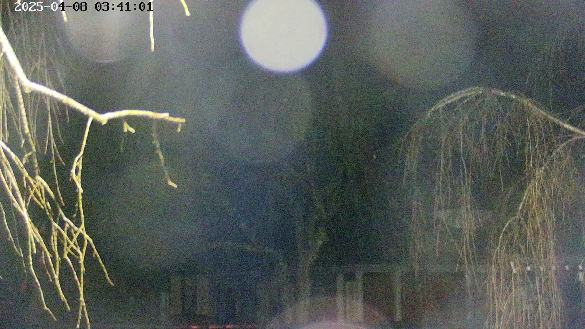 area2-20250408034105.jpg