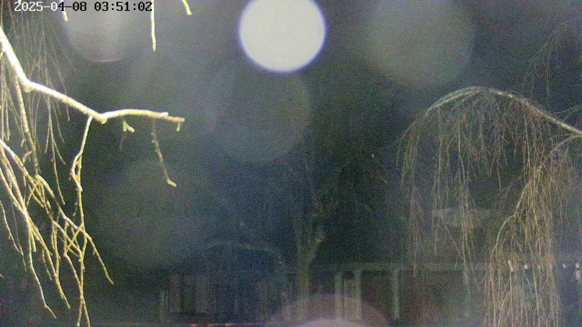 area2-20250408035106.jpg