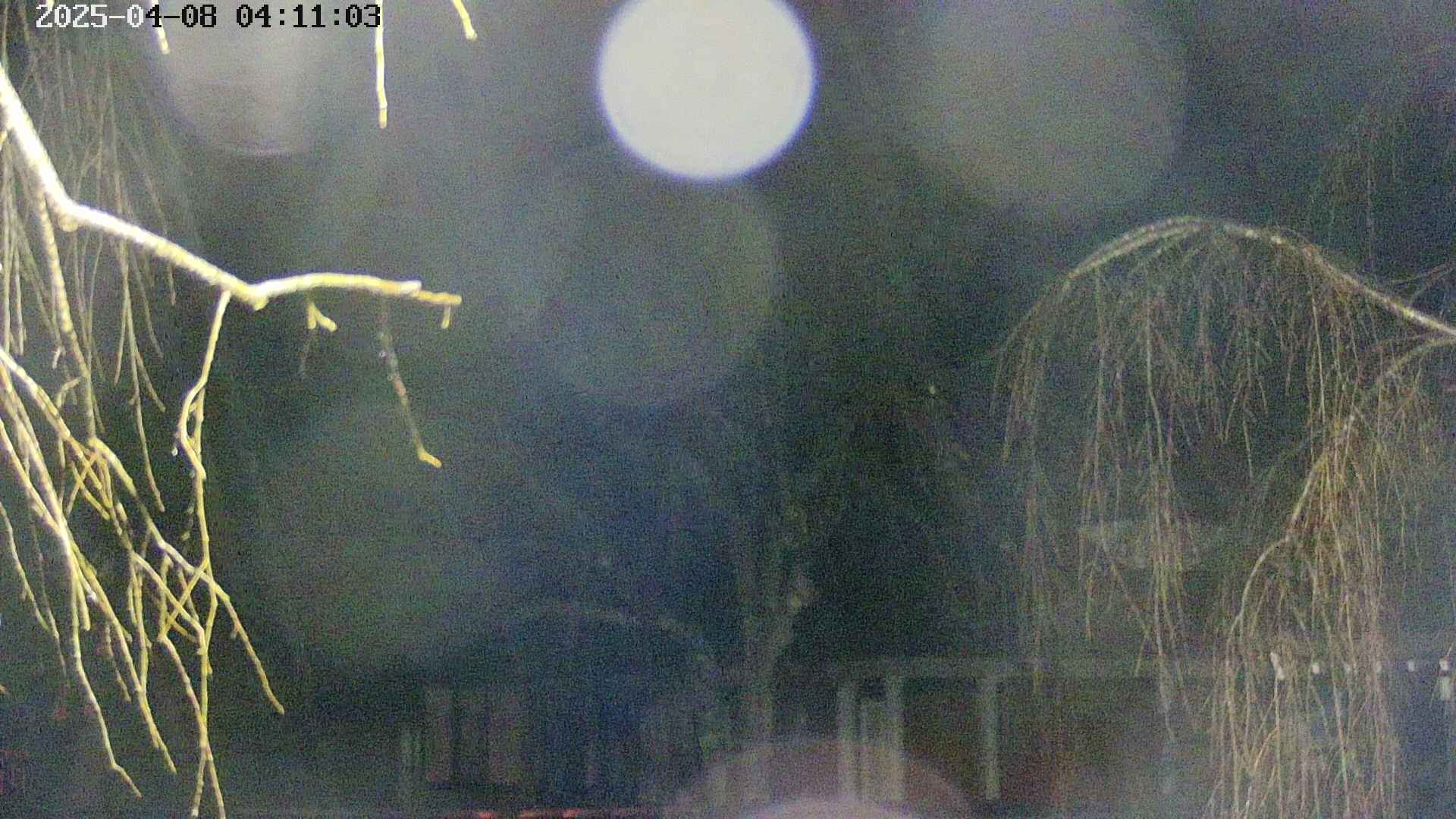 area2-20250408041107.jpg