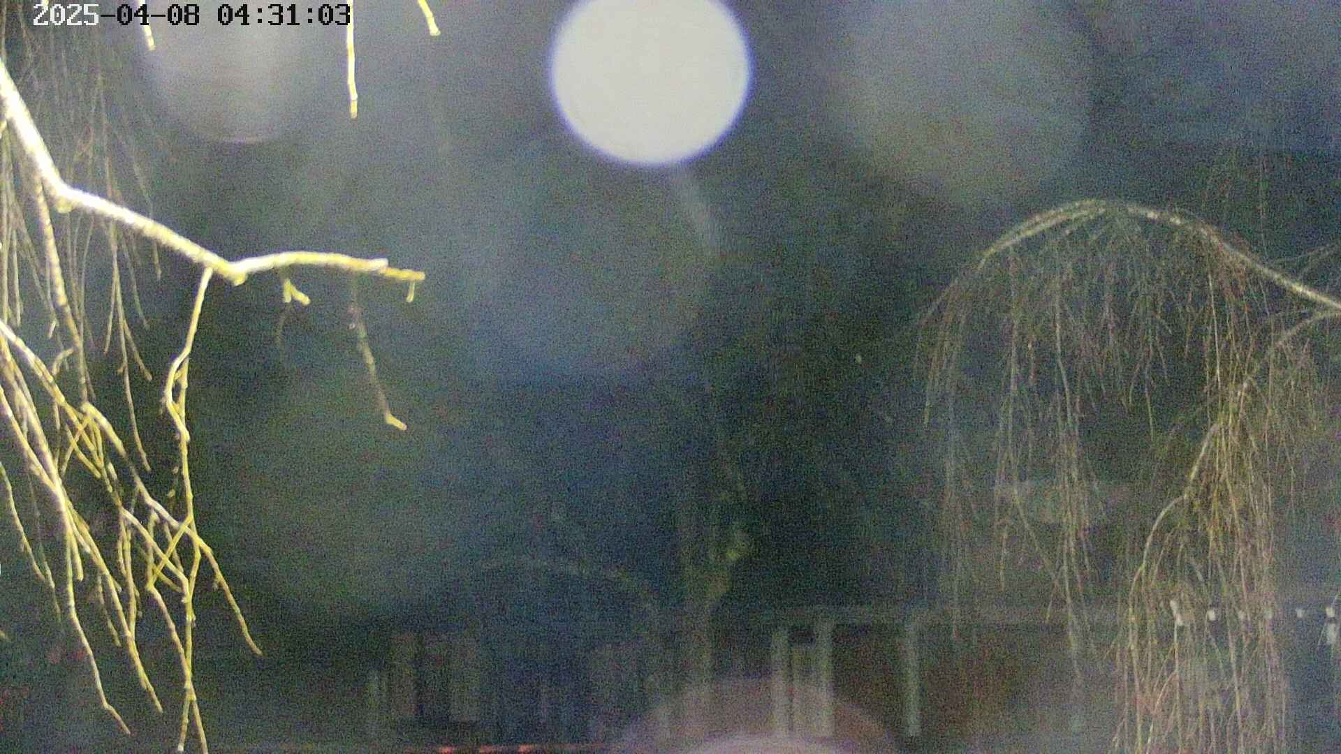 area2-20250408043106.jpg