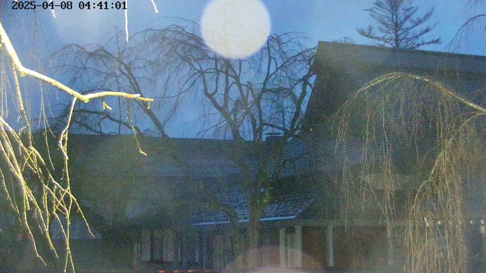 area2-20250408044105.jpg
