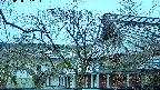 area2-20250408052105.jpg