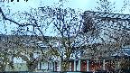 area2-20250408053106.jpg