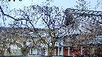 area2-20250408055106.jpg