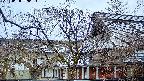 area2-20250408060105.jpg
