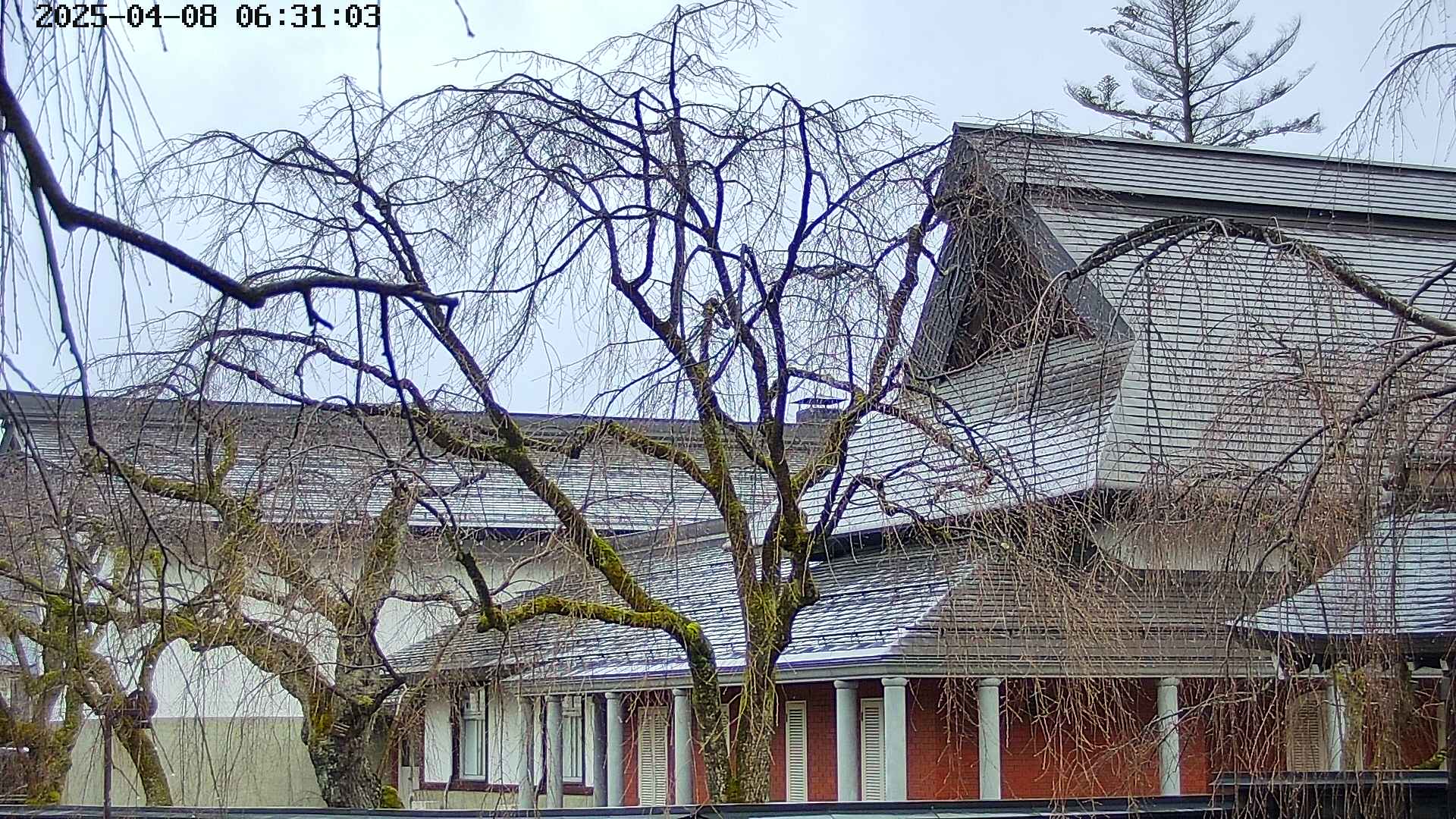 area2-20250408063107.jpg