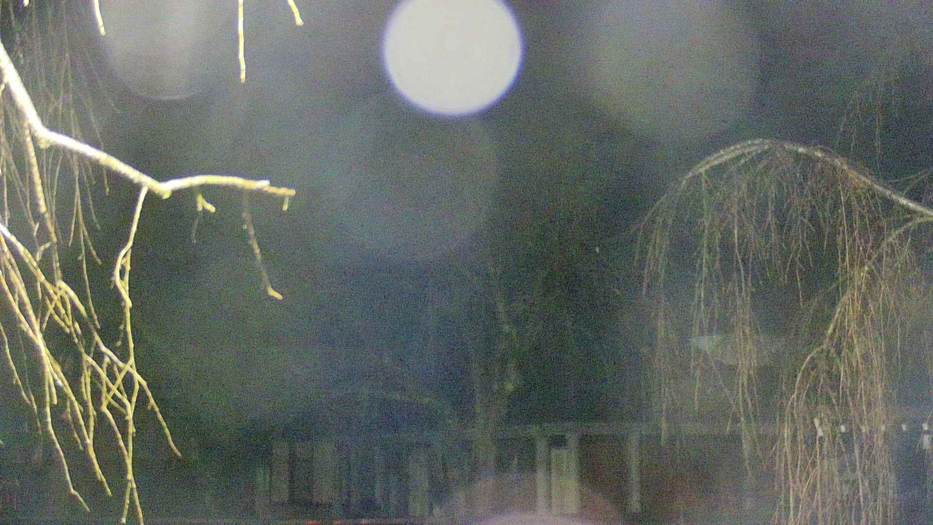 area2-20250408190108.jpg