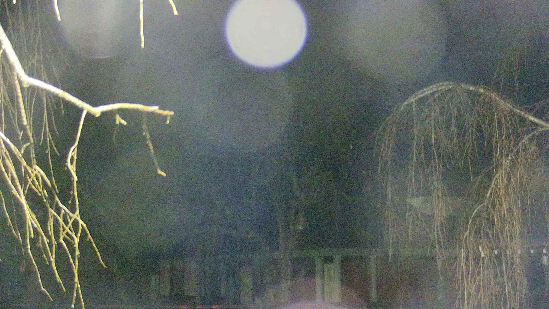 area2-20250408192107.jpg