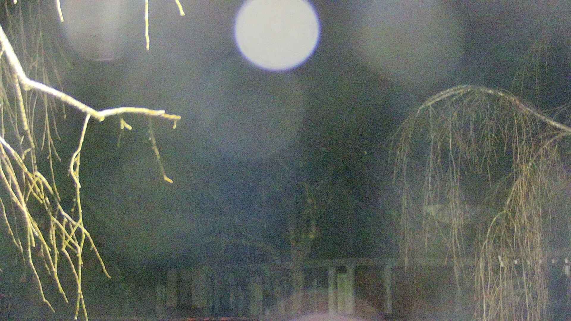 area2-20250408193107.jpg