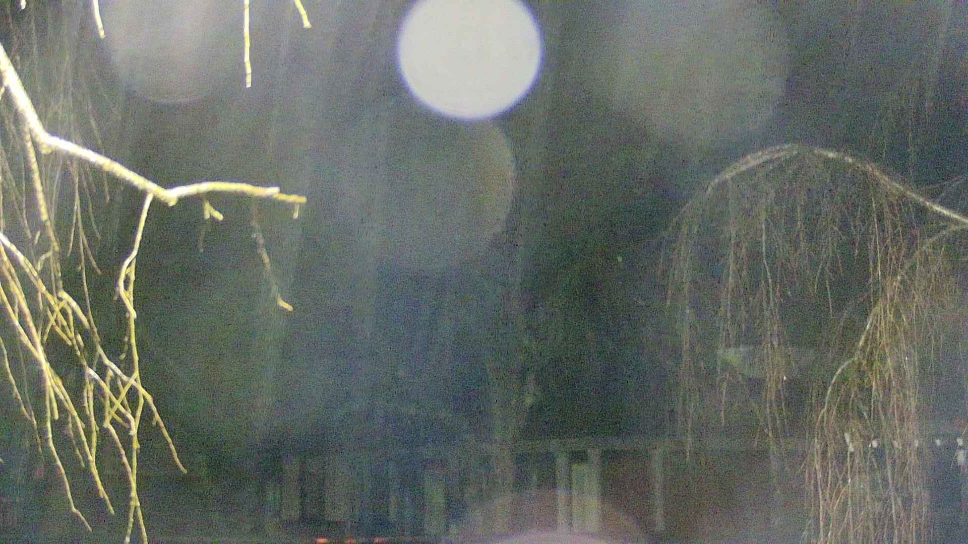 area2-20250408211106.jpg