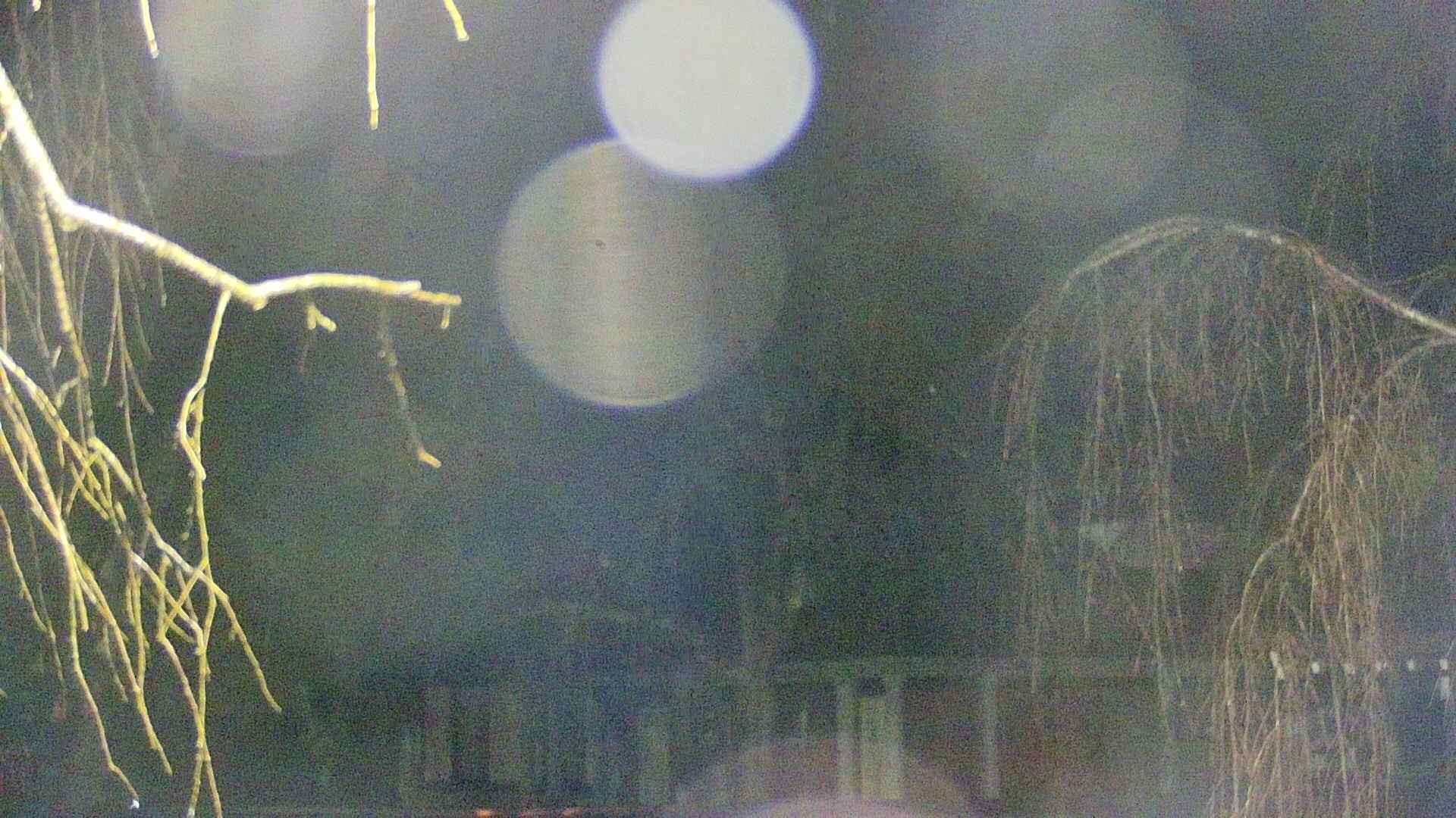 area2-20250408214106.jpg
